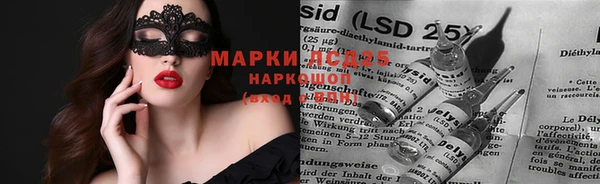 дмт Алзамай