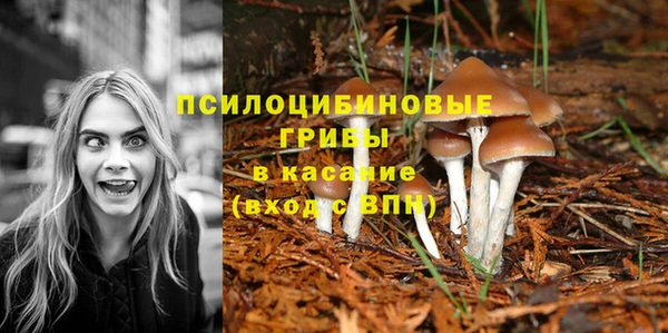 MESCALINE Нязепетровск